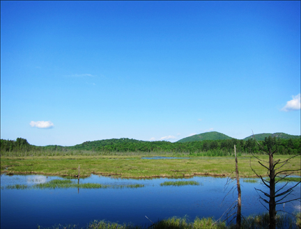 dirondack Wetlands: Heron Marsh from the first overlook on the Heron Marsh Trail